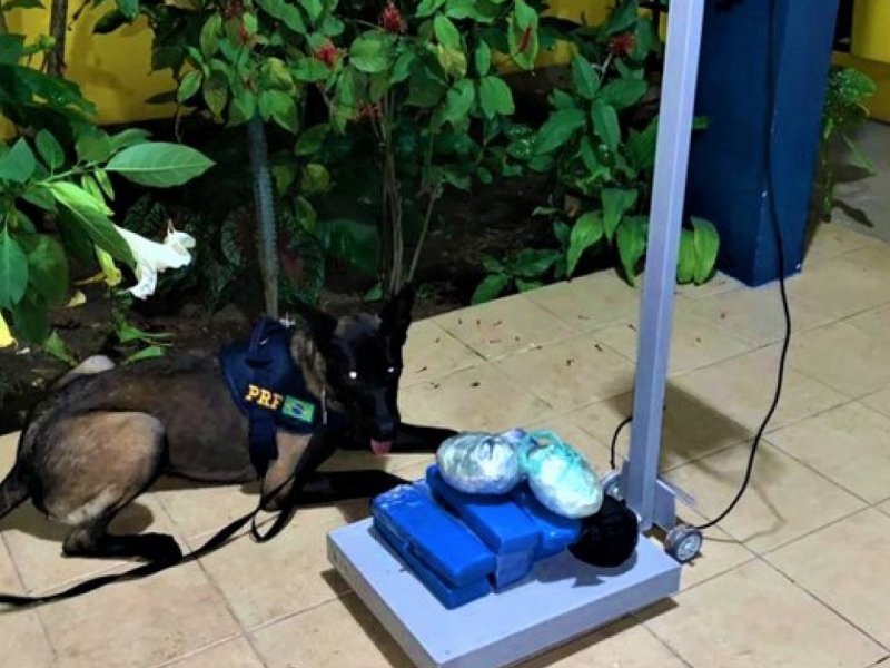 Divulgação PRF