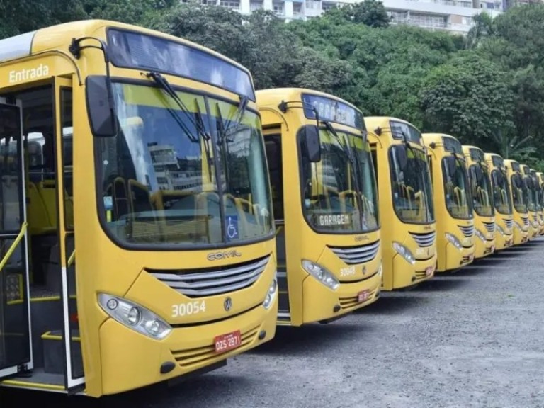  Divulgação / Prefeitura de Salvador/SECOM
