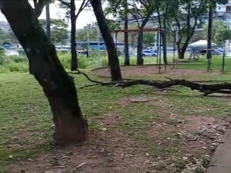 Paulinho FP