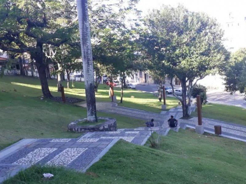 Divulgação