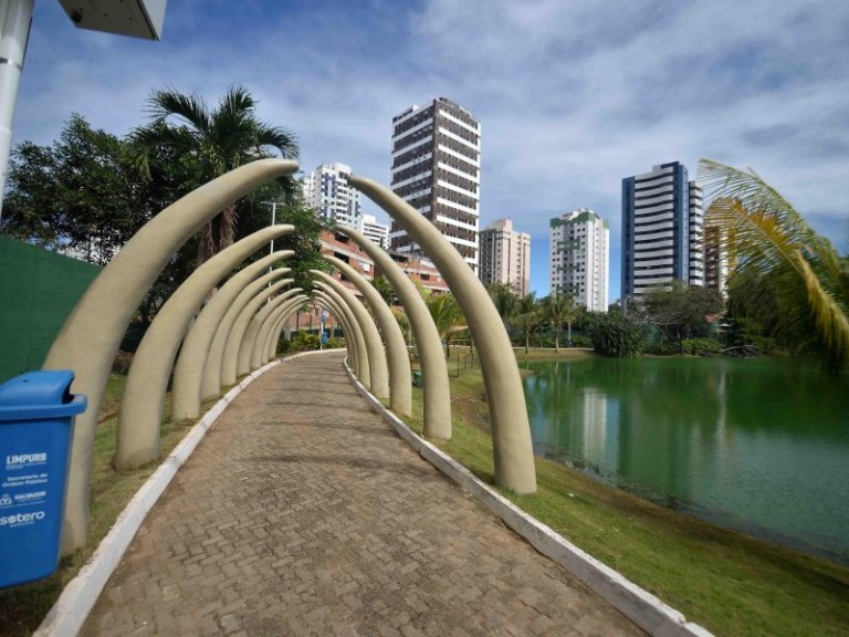 Divulgação/Prefeitura de Salvador