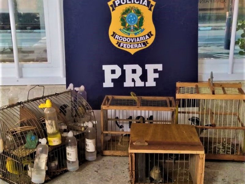 Divulgação PRF