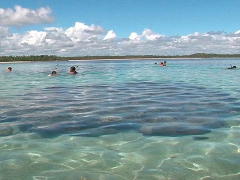 Reprodução / TV Bahia