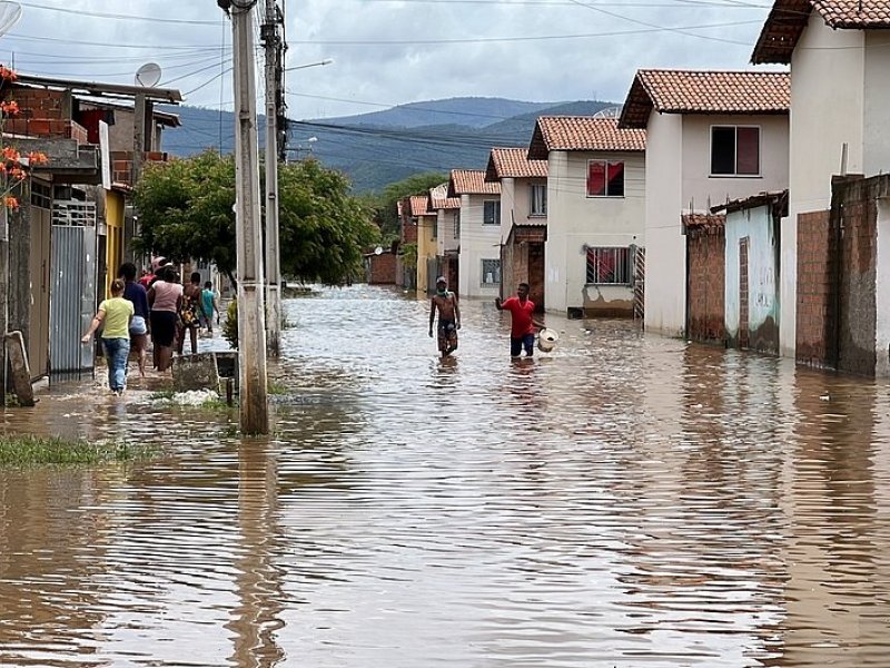 Divulgação