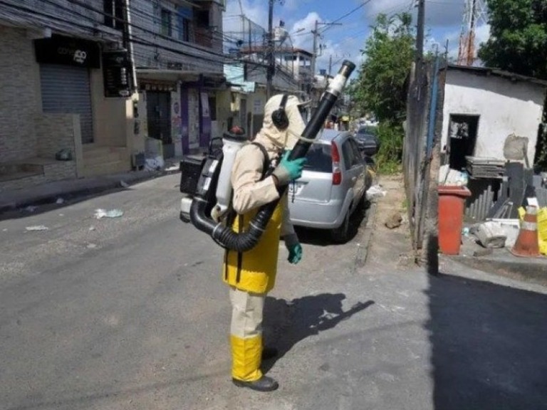 Divulgação SMS