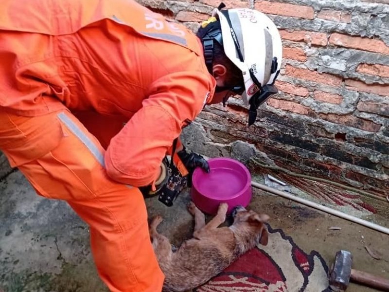 Divulgação/Corpo de Bombeiros