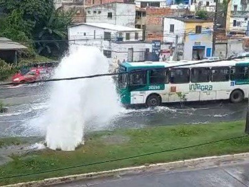 Reprodução
