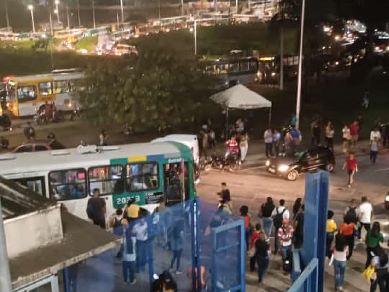 Divulgação