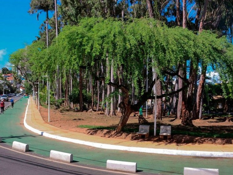 Divulgação
