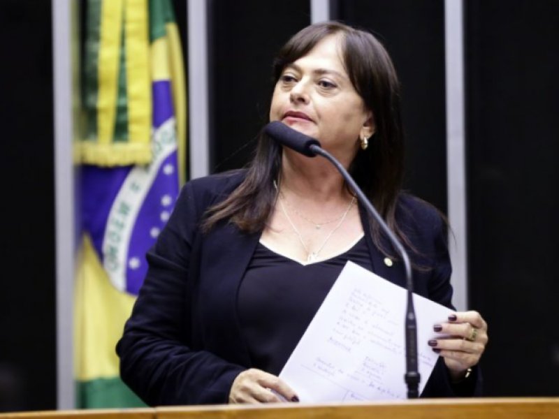 Najara Araújo/Agência Câmara