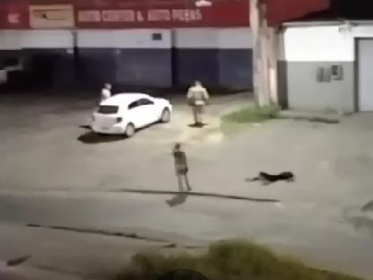 Reprodução