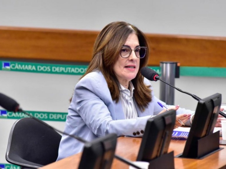 Zeca Ribeiro/Câmara dos Deputados