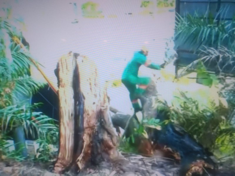 Reprodução TV Bahia