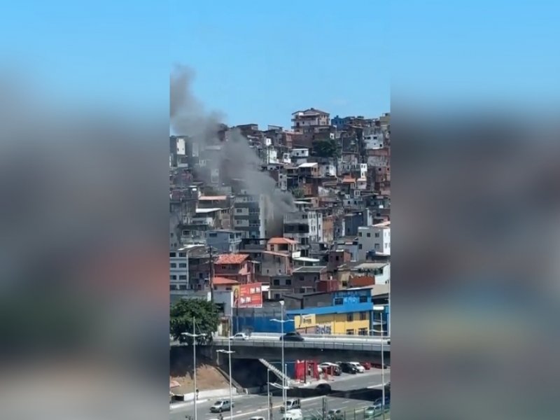 Reprodução