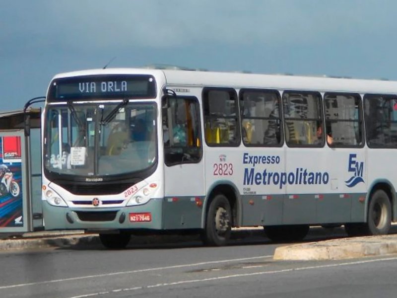 Rodrigo Vieira/Ônibus Brasil