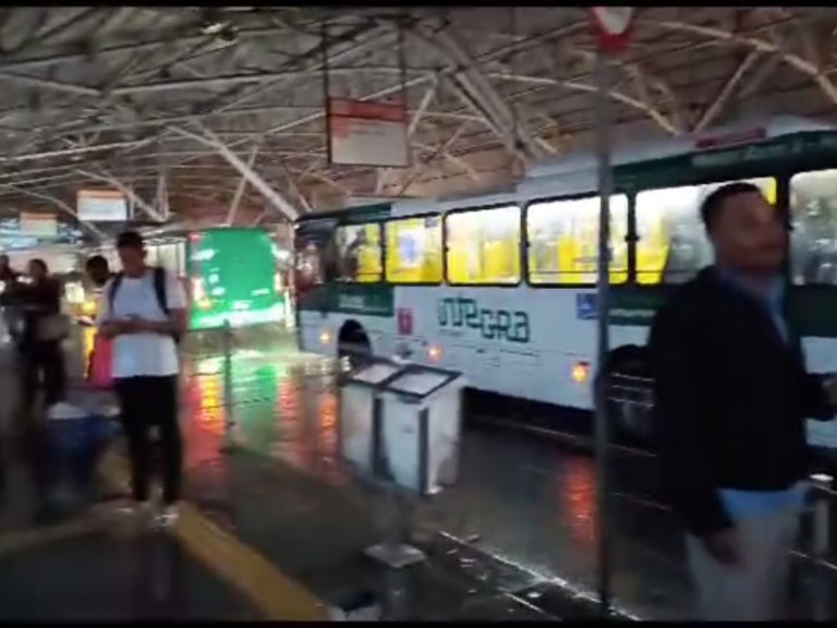 Reprodução