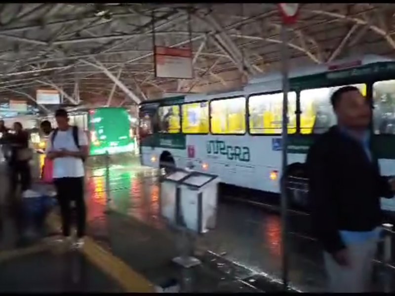 Reprodução