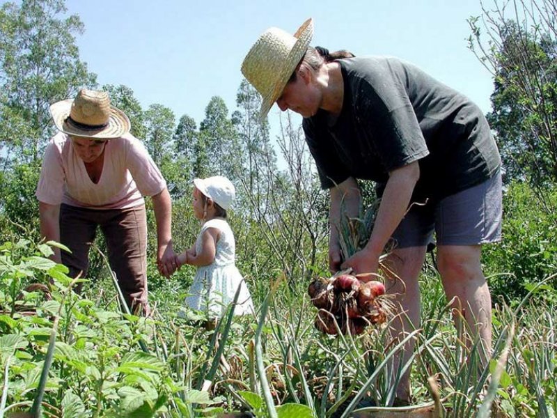 Sindicato dos Produtores Rurais de Uberaba (SRU)/Agência Senado