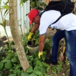 Salvador reforça combate ao Aedes aegypti com ações no Comércio e no Terminal Marítimo