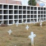 Câmara de Salvador analisa projeto que permite sepultamento de pets junto a seus tutores