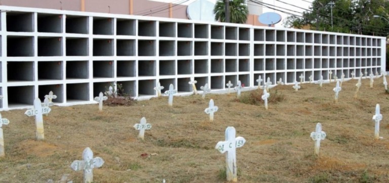 Câmara de Salvador analisa projeto que permite sepultamento de pets junto a seus tutores