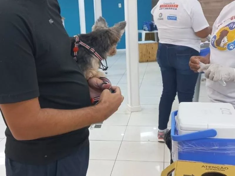 Divulgação | Danielle Dantas