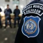 Divulgação | Guarda Municipal