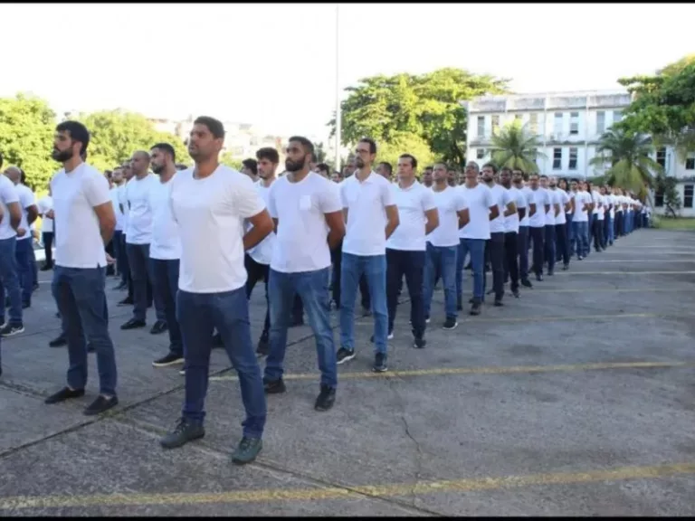 Divulgação | DPT