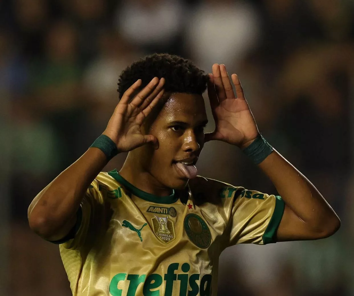 Foto: César Greco / SE Palmeiras