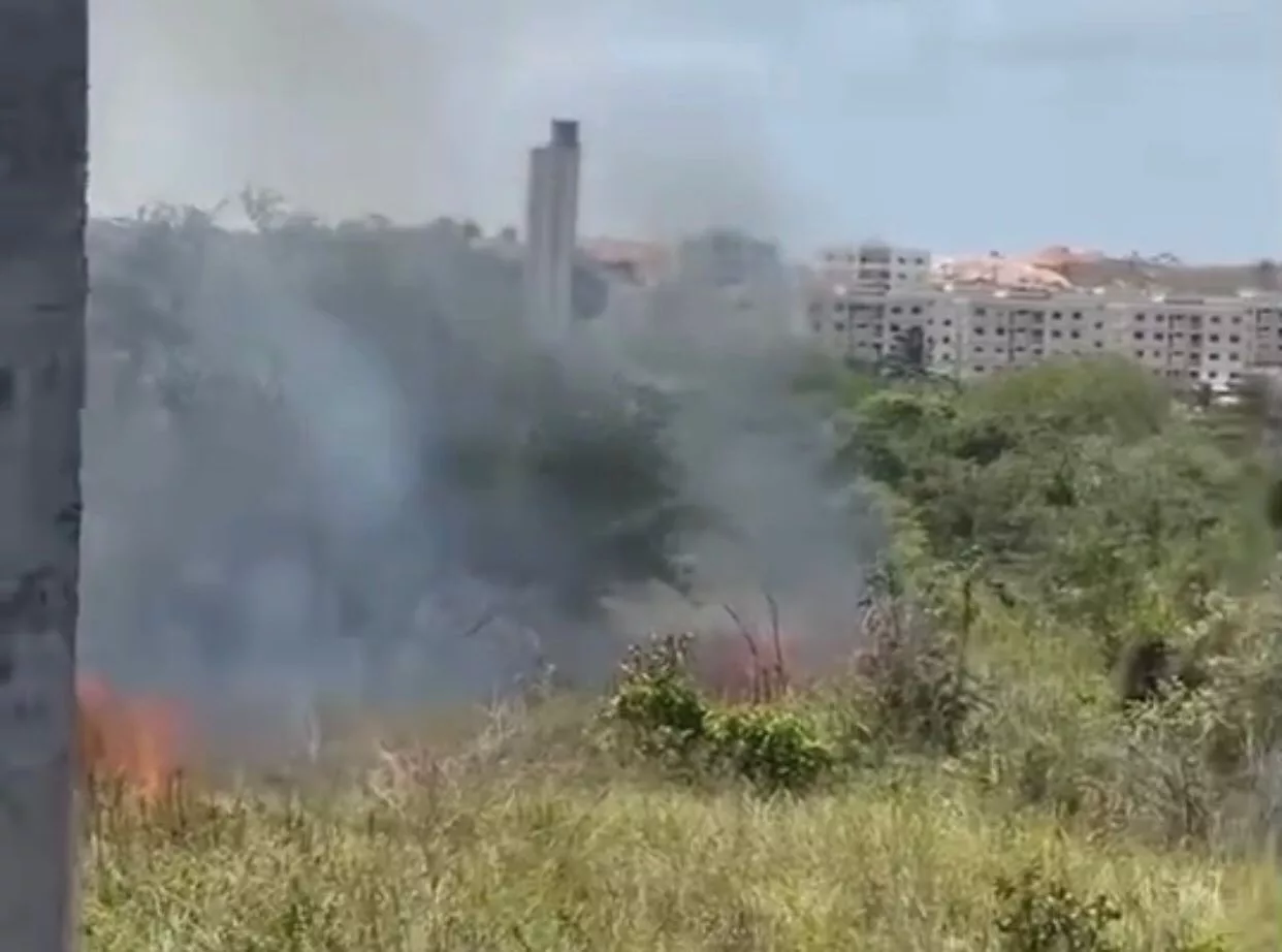 Foto: Reprodução / Redes Sociais