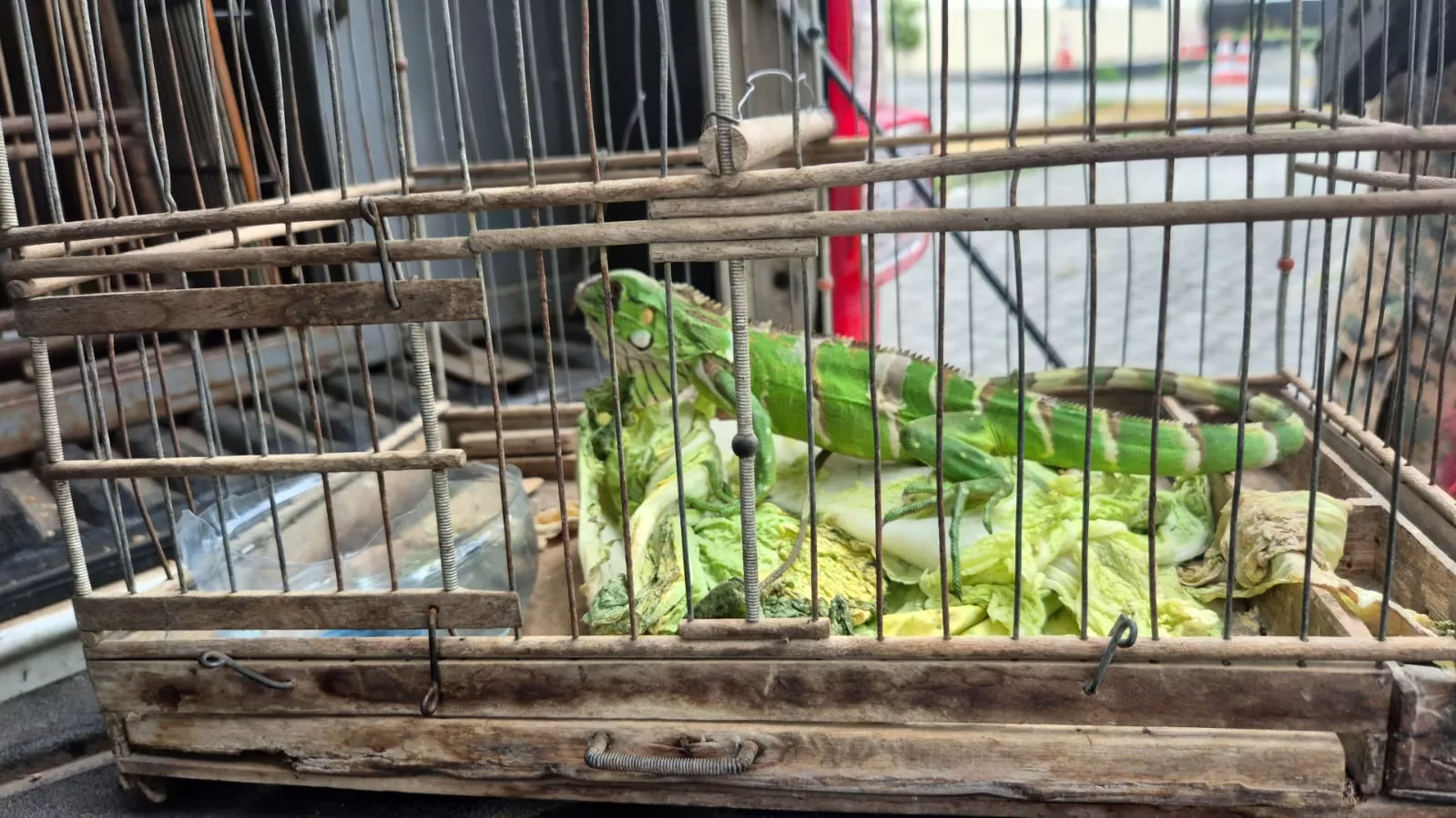 Foto: Divulgação / PMBA Foto: Divulgação / PMBA