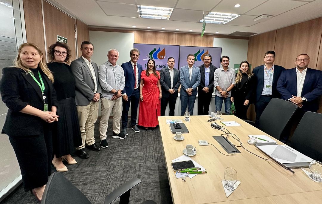 Deputados em reunião na sede da Neoenergia Coelba. Foto: Divulgação/Ascom Radiovaldo