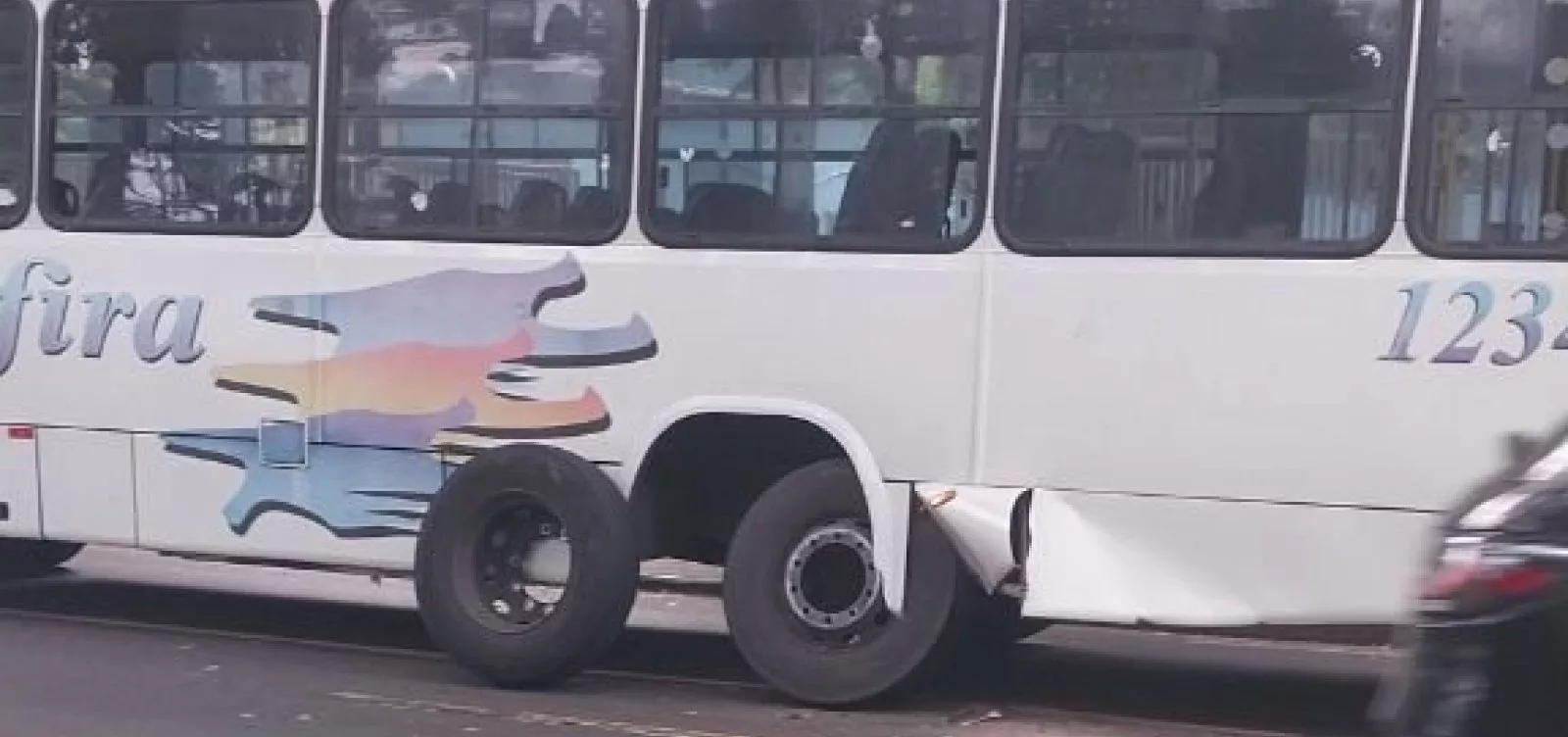 Foto: Reprodução / Leitor Foto: Reprodução / Leitor