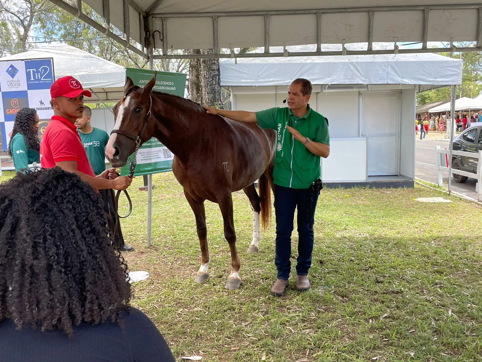 Foto: Osvaldo Barreto/PSNotícias Foto: Osvaldo Barreto/PSNotícias