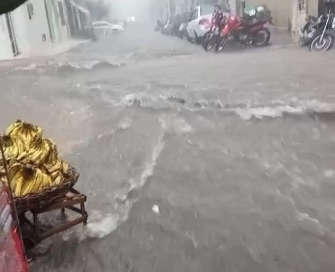 Screenshot Screenshot