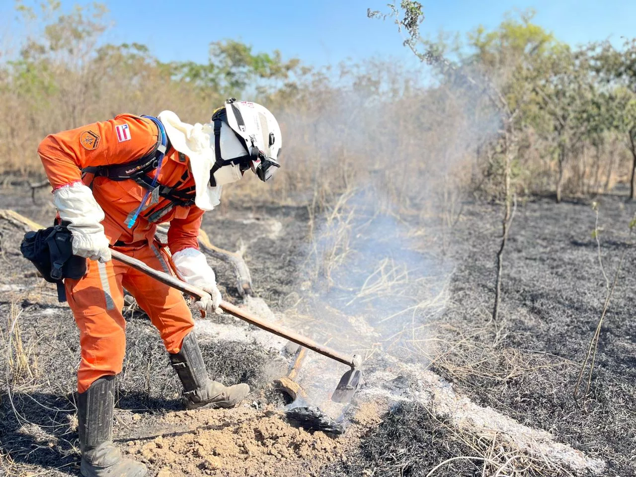 Foto: Divulgação/Corpo de Bombeiros Foto: Divulgação/Corpo de Bombeiros