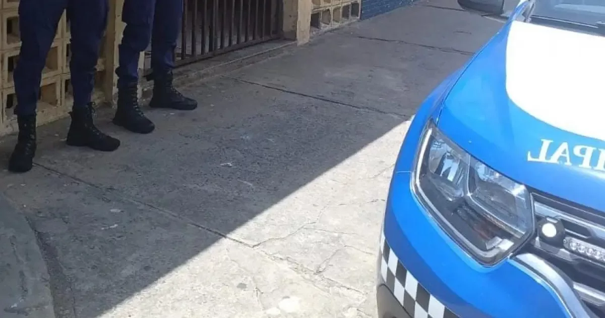Foto: Reprodução / Guarda Civil Municipal