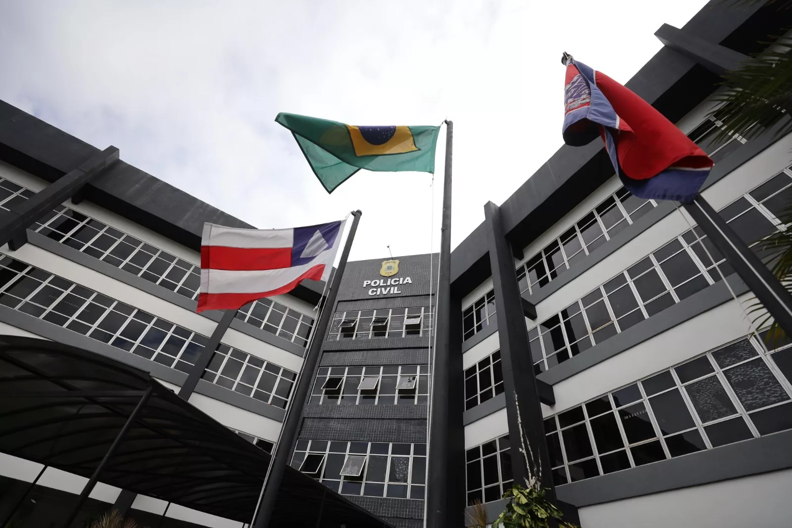 Haeckel Dias / PCBA Haeckel Dias / PCBA