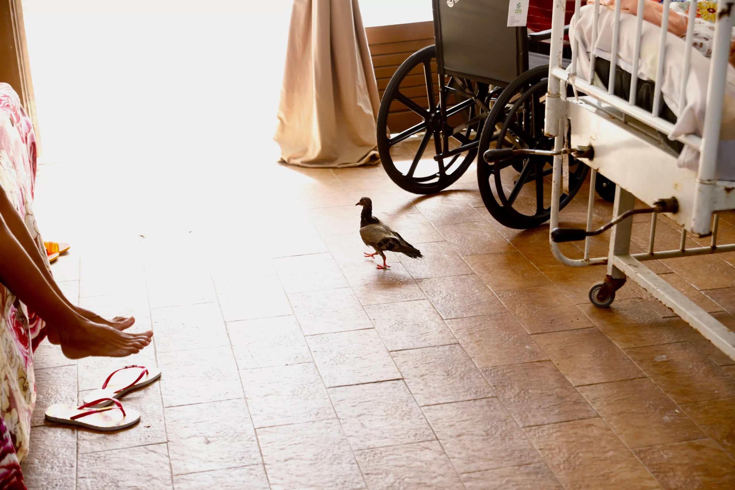 MP-BA / Divulgação MP-BA / Divulgação