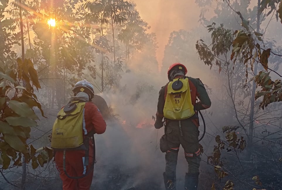 Incêndio em Massarandupió