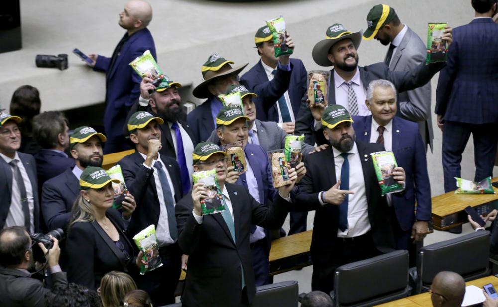 Bolsonaristas fazem manifestação durante abertura dos trabalhos na Câmara: 'comida barata novamente'