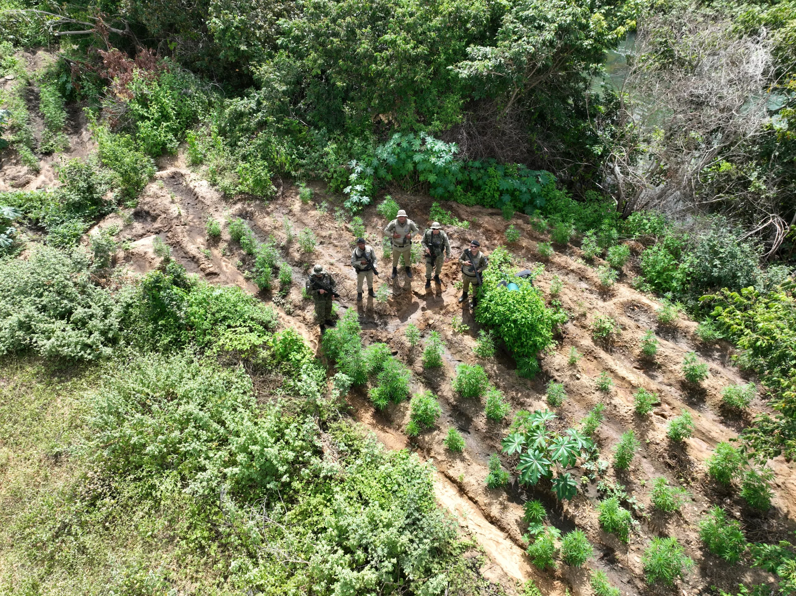 Foto: Divulgação/Polícia Militar