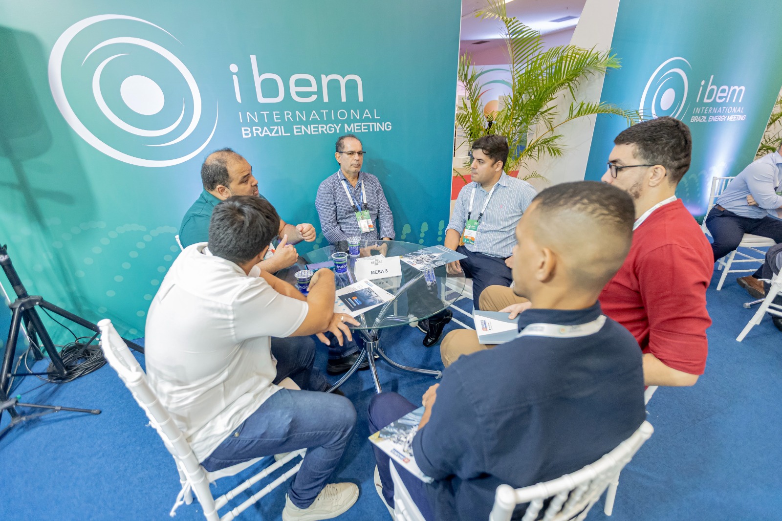 iBEM25