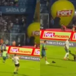 Voadora em torcedor do Avaí
