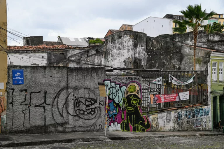 Foto: Fernando Barbosa/IPAC
