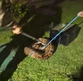 Foto: Divulgação/SSP