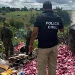 Foto: Divulgação/Polícia Civil