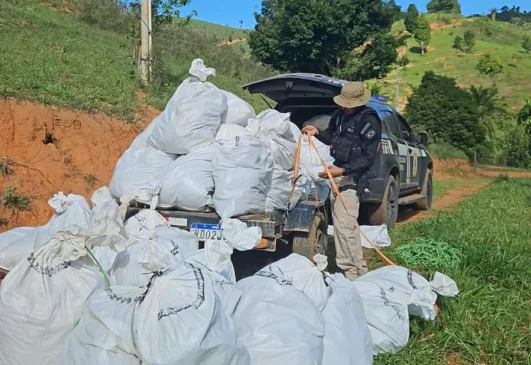 Foto: Divulgação/Polícia Civil