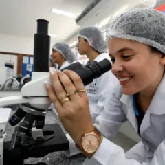cursos