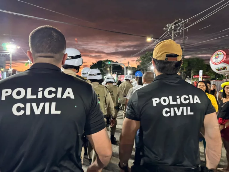 Foto: Divulgação/Polícia Civil